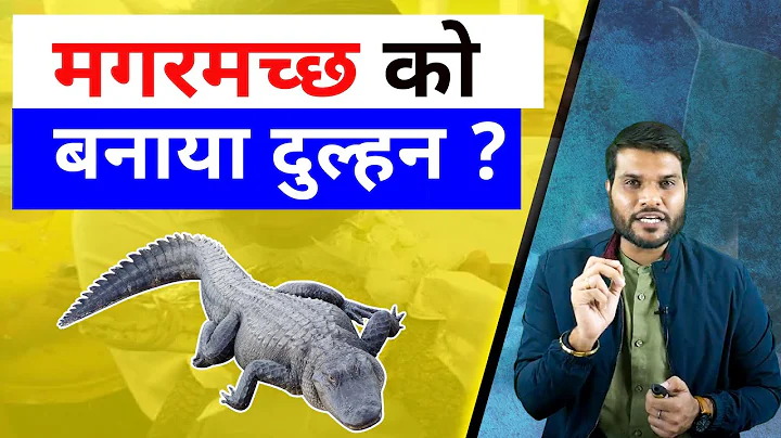 मगरमच्छ को बनाया दुल्हन ?😮| A2 Motivation |#shorts #ashortaday #a2_sir