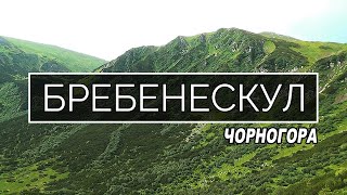 Похід на гору Бребенескул || Неповторні Українські Карпати