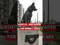 Kostya –  who waited for owner 7 years