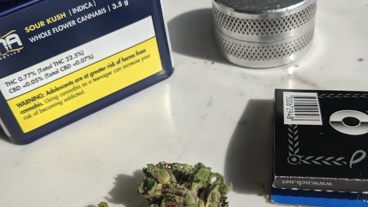 Canadian cannabis review DNA Genetics Sour Kush