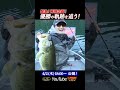 七色ダム 吉川永遠が爆釣!