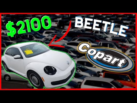 Como comprar en COPART | Compre un Beetle 2012 | Subasta en vivo