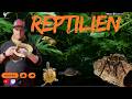Reptilien und mehr (Fsk:18j)