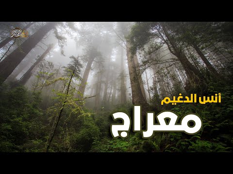 معراج من ديوان المنفى للشاعر أنس الدغيم