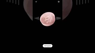 Let's listen to RM's🐨 message on Spotify #bts #btsshorts #btsarmy