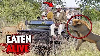 5 Most DISTURBING Animal Attacks at Kruger National Park...