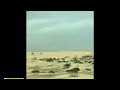 عد مادارة وساقة نسانيس الهبوب