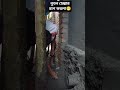 😂 রাজমিস্ত্রির মজার কাজ দেখে হাসতে হাসতে শেষ! | Funny Mason Video 2026