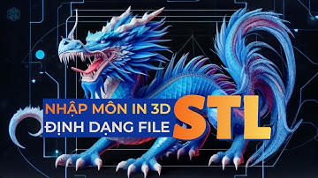 Định dạng file STL dùng trong in 3D là gì? - Nhập môn in 3D cho người mới bắt đầu