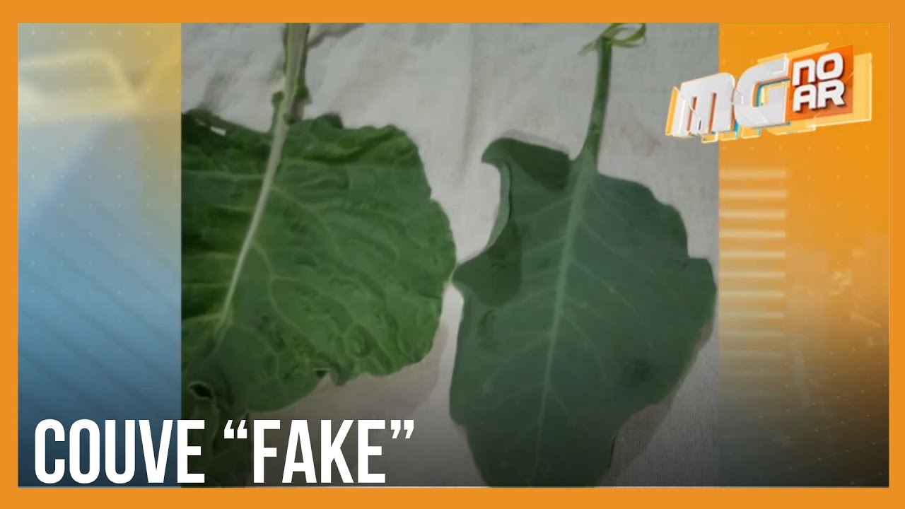 Família é hospitalizada após consumir planta tóxica conhecida como “Couve Falsa” em MG