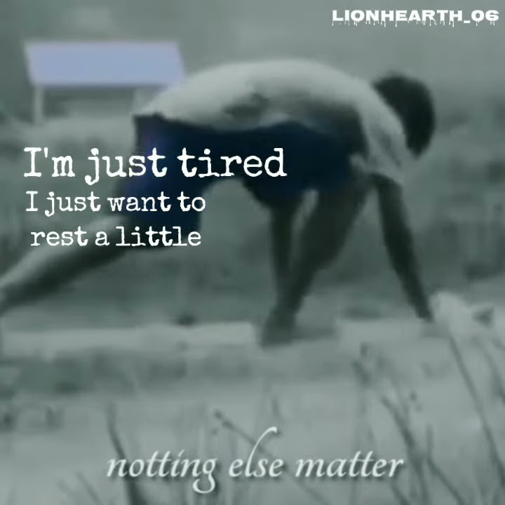 story wa metalica - nothing else matters