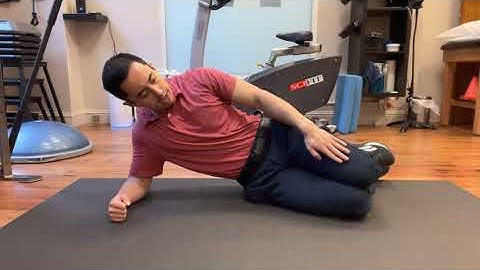 Side Plank Clamshell Lifts (Hip ER)