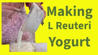 Making L Reuteri Yogurt at Home (With or Without a Yogurt Maker)