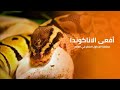 أفعى الاناكوندا عملاقة الجداول الاخطر في ادغال الامازون كويست عربية Quest Arabiya 