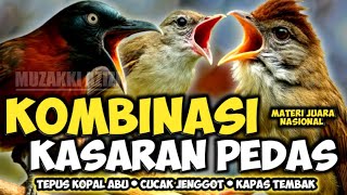 Download Lagu PEDAS KASAR!!! KOMBINASI CUCAK JENGGOT • TEPUS ABU • KAPAS TEMBAK || MASTERAN KASARAN MEWAH MP3 Download Lagu PEDAS KASAR!!! KOMBINASI CUCAK JENGGOT • TEPUS ABU • KAPAS TEMBAK || MASTERAN KASARAN MEWAH MP3