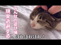みんなの遊び場。実家に行く