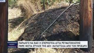Μεσσηνία: Παραλίγο να καεί η Σπερχογεία - Αιτία ρευματοκλοπής - Πήρε φωτιά στύλος της ΔΕΗ