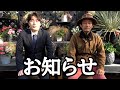 【重大発表】いつもご視聴ありがとうございます。【カーメン君】【園芸】【ガーデニング】