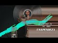 ALLEGRESSE JOY ft. ABAKI – UNAPENDEZA (Audio Officiel)