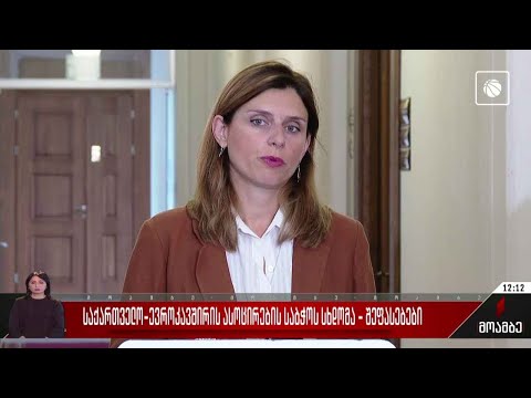 საქართველო-ევროკავშირის ასოცირების საბჭოს სხდომა - შეფასებები