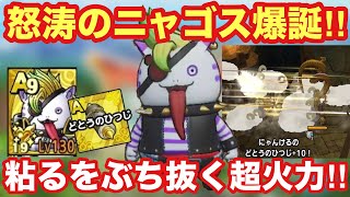 【ドラクエタクト】どとうのひつじをニャゴスに取得！踏みとどまる相手をぶち抜く超高火力がやば過ぎる！！
