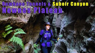 Dumbano Tunnels & Suboir Canyon - Newnes Plateau - Lithgow - 4K