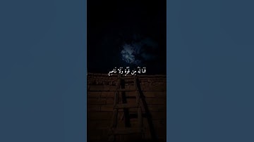 ماهر المعيقلي تلاوة خاشعة || تلاوة قصيرة رائعة 🤍