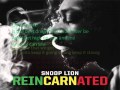 Snoop Lion feat. Iza - The Good Good (lyrics on screen)