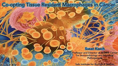 Co-opting Immune cells to Support Cancer Progressi...
