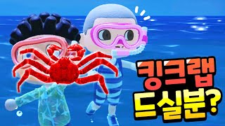 킹크랩 드실분?ㅣ동물의숲 63화