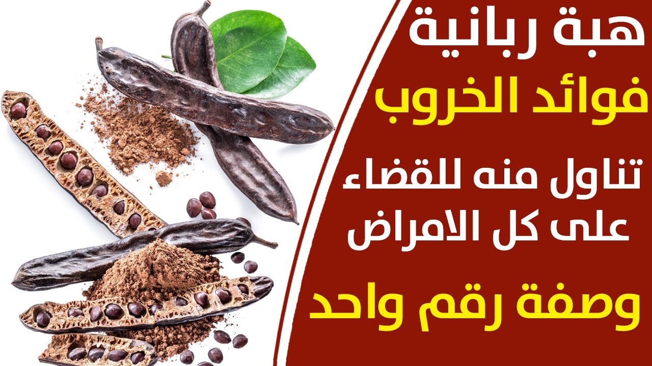يجب مشاهدة الفيديو للنهاية فوائد الخروب وعصير الخروب مشروب الخروب طريقة عمل الخروب