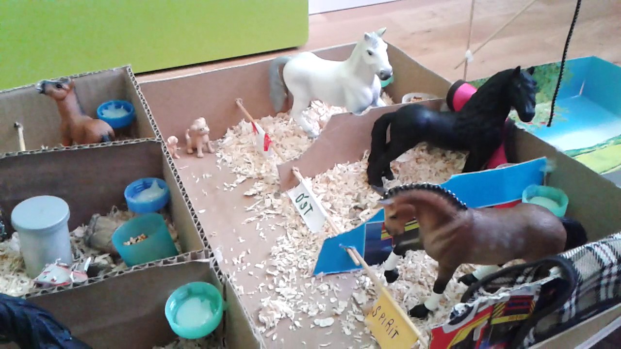 Prohlídka VS co si asi Myslí koně