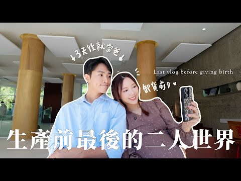 VLOG | 生產前夕𖤐媽媽不陪我生嗎？韓國一夜變冷/最後只屬二人的時間/曾兩次被救護車抬走了？/我的毛孩知道我懷孕了嗎？｜金鈴