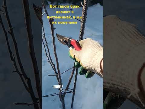 Вы бы купили