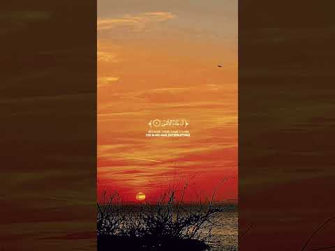 خلق الله سورة عبس القارئ شريف مصطفى Quran اكسبلور قران كريم سورة عبس شريف مصطفى