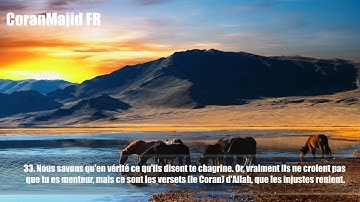 6.Sourate Al An'am (Les Bestiaux) Abdel Rahman al 'Ossi عبدالرحمن العوسي سورة الانعام