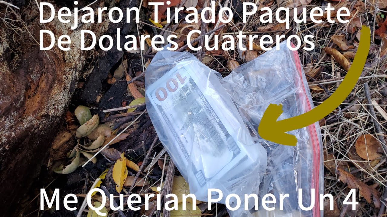 Paquete De DOLARES Dejaron Tirado En El Camino