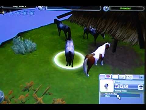 Zoo tycoon 2 mustang Zoo tycoon 2 mustang
