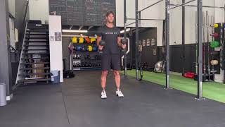 Hammer Curl