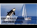 ORCAS in Gibraltar and Spain damaging sailboats? (BONUS VIDEO)
