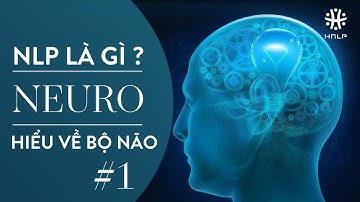 NLP LÀ GÌ ? | HIỂU VỀ BỘ NÃO