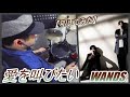 愛を叫びたい / WANDS 【ドラム】【叩いてみた】