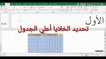 اكسيلاية في دقيقة | تعلم بسهولة | كيفية عمل فلتر في شيت اكسيل | Excel