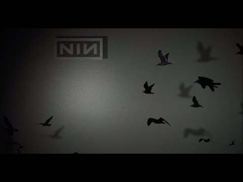 Best of Trent Reznor Ambient and Instrumental music 45hrs 