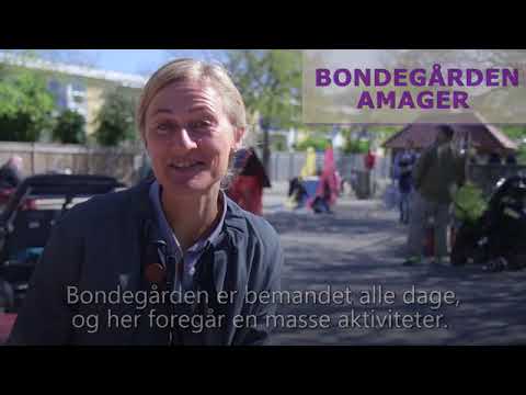 Video: Udsmykning af legepladser