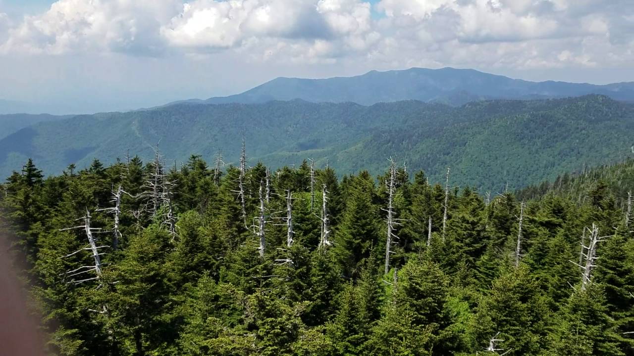 camera iphone 8 plus apk The highest point at The Great Smoky National Park