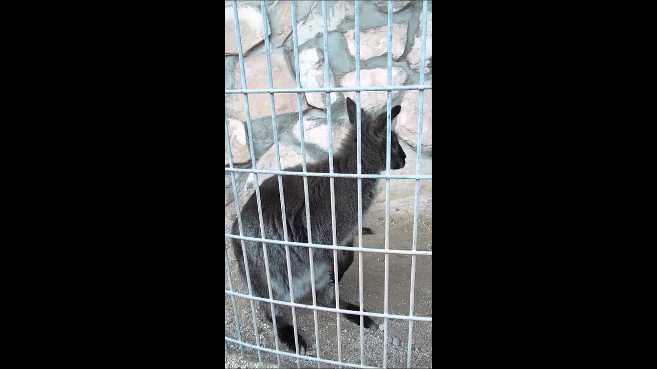 Las Vegas Ranch For Events