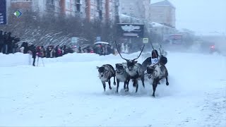 Воркута отметила «Праздник Севера».