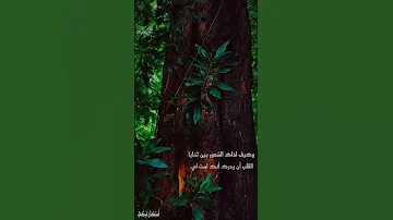 موسيقى تركية رائعة بيانو حزين أستكنان تركي استكنان تركي الحمدلله متابعه ريمكس مطلوبة موسيقى 