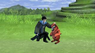 Harry Potter: Hogwarts Mystery ~ Interact Porlock